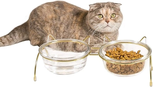 Cat Food and Water Bowls Set, Raised Cat Bowls for Food and Water, Elevated Pet Glass Bowls with Stand, 17 oz Cats and Dogs Bowl, Anti Vomiting, Dishwasher Safe