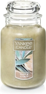 Yankee Candle Sage & Citrus Scented, 22oz Single Wick Candle, Over 110 Hours of Burn Time, Ideal for Home Decor and Gifts, Classic Large Jar, Ivory