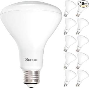 Sunco 10 Pack BR30 LED Bulbs, Indoor Flood Lights 11W Equivalent 65W 6000K Daylight Deluxe 850 Lumens, E26 Base 25,000 Lifetime Hours Interior Dimmable Recessed Can Light Bulbs