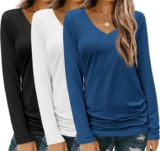 Zeagoo Womens T Shirts Long Sleeve V Neck Basic Tee Soft Casual Loose Fit Fall Tops Outfits 2024