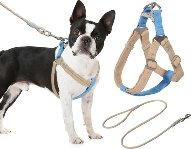 BELLA & PAL Step in Dog Harness for Small Dogs No Pull, Puppy Harness and Leash Set, Dog Harness for Extra Small Dogs, Adjustable Nylon Easy on Pet Vest for Cute Girl, Purple, Khaki