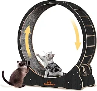 Homegroove Cat Exercise Wheel for Indoor Cat, 40