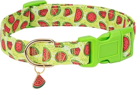 Cute Dog Collar Adjustable and Lightweight for Girl Female Boy Dogs,Soft and Fancy Summer Dog Collar with Watermelon Special Design Pet Collar for Small Medium Large Dogs (S, Green)