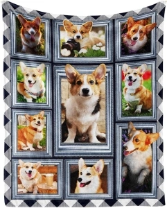 Corgi Throw Blanket, 40