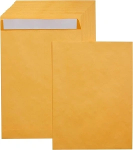 Amazon Basics Catalog Mailing Envelopes, Peel and Seal, 9x12 Inch, Brown Kraft, 100-Pack