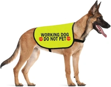 CENWA Nervous Dog Jacket Vest Service Dog Working Dog Anxious Dogs Scared Dogs Slogan Warning Vest (Working Dog -L)