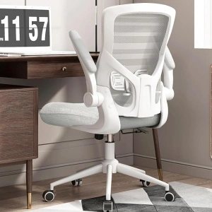 Office Chair, High Back Desk Chair with Adjustable Lumbar Support, Ergonomic Mesh Computer Chair with Premium Cold-Cured Cushion, Height Liftable Swivel Chair (Modern, Gainsboro)