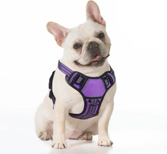 BUMBIN Dog Harness for Large Dogs, No Pull Adjustable No Choke Pet Vest with Dog Leash Fit Smart Reflective Pet Walking Harness for Training Easy Control Soft Handle Purple M