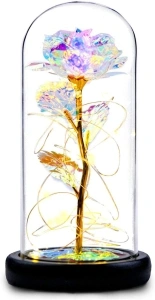 Galaxy Rose Flower Gift, Infinity Rose in Glass Dome, Automatic Color Change Led Light String on The Crystal Rose,Unique Gifts for Women, Christmas, Valentine's Day, Anniversary