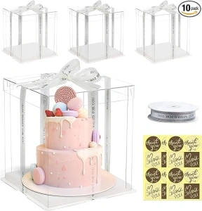 10pcs Large Cake Clear Box,10x10x10Inch Clear Treat Cake Box with ribbon stickers for 8