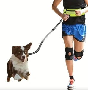 Hands Free Dog Leash, Waist Dog Leash for Running,Walking,Hiking,Training with Adjustable Waist Belt Harness,Reflective Stitches and Zipper Pouch