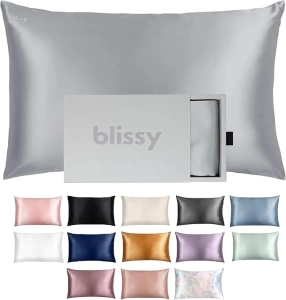 Blissy Silk Pillowcase - 100% Pure Mulberry Silk - 22 Momme 6A High-Grade Fibers - Silk Pillow Cover for Hair & Skin - Regular, Queen & King with Hidden Zipper (Standard, Silver)