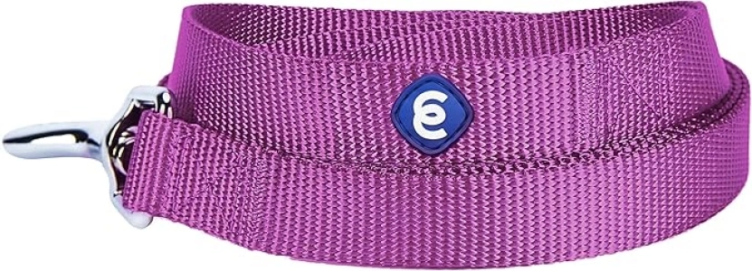 Blueberry Pet Essentials Durable Classic Dog Leash | Basic Nylon Dog Leash | 4ft. x 1