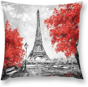 Paris Pillow Cvoer 18