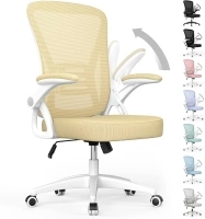 naspaluro Ergonomic Office Chair, Mid Back Desk Chair with Adjustable Height, Flip-Up Arms and Lumbar Support, Breathable Mesh Swivel Computer Chair for Home Study Working/Light Yellow