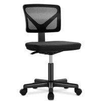 Home Office Desk Chair, Armless Mesh Computer Chair Small Space Swivel Adjustable Low Back Task Chair