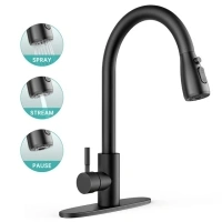 Kitchen Sink Faucets with Pull Down Sprayer, High Arc Single Handle with Water Lines