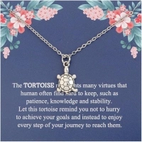 ENSIANTH Tortoise Necklace Tortoise Lover Gift Turtle Necklace Inspirational Gift for Friend