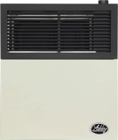 Ashley Hearth DVAG11N 11,000 BTU Direct Vent Natural Gas Heater, Cream