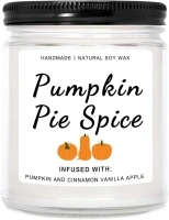 Fall Candles, Pumpkin Cinnamon Spice Candle, Fall Decor, Fall Decor Candles for Home, Fall Decorations for Home, Fall Pumpkin Cinnamon Spice Scented Candles - 9 Oz Fall Candles Gifts for Women