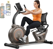 Niceday Recumbent Exercise Bike, Recumbent Bike for Home, Recumbent Stationary Bike 400LBS Weight Capacity, Magnetic Recumbent Bike with Smart APP, LCD Monitor, Heart Rate Handle