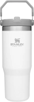 STANLEY IceFlow Stainless Steel Tumbler with Straw, Vacuum Insulated Water Bottle for Home, Office or Car, Reusable Cup with Straw Leak Resistant Flip