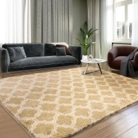 Luxury Area Rug 6x9 Feet Shag Rugs for Living Room, High Pile Fluffy Carpet for Bedroom, Kids Room, Nursery, Home Decor, Geometric, Beige/White