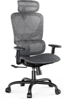 NOBLEWELL Ergonomic Mesh Office Chair with Flexible Adjustment Lumbar Support, High Back Desk Computer Chair with 2D Wide Headrest, Armrests, 130° Rocking Tilt, Home Office Chair for Long Hours, Grey