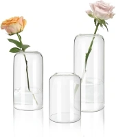 Small Flower Vase Set of 3, Glass Bud Vases in Bulk, Clear Vases for Flower, Decor Centerpiece for Bathroom, Decorative Vases for House Warming, Valentines