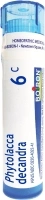 Boiron Phytolacca Decandra 6C, 80 Pellets, Homeopathic Medicine for Sore Throat