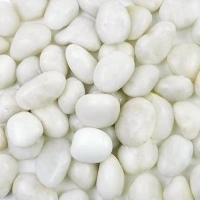 5LB Polished White River Rocks for Plants,1-2 Inch Polished Pebbles for Garden Decoration Stones for Landscaping Aquarium Fish Tank Succulents