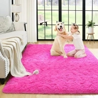 Noahas Fluffy Bedroom Rug Plush Fuzzy Rugs for Kids Room Living Room, Soft Shaggy Nursery Rug Furry Floor Carpet Modern Indoor Bedroom Decor Cute Boys Girls Room Rug, 2x3 Feet, Hot Pink