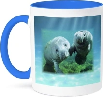 3dRose mug_39647_6 "2 Manatees looking At You" Two Tone Blue Mug, 11 oz, Multicolor