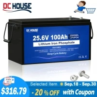 24V 100Ah LiFePO4 Lithium Battery BMS Solar Deep Cycle RV Camper Marine