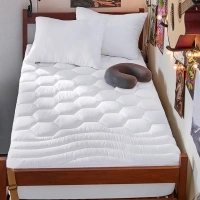 Bedsure Twin XL Mattress Pad - Soft Mattress Topper for College Dorm Room Essentials, Extra Long Twin Quilted Fitted Mattress Protector Cover with Deep Pocket Fits 8"-21" Mattress, White, 39x80 Inches