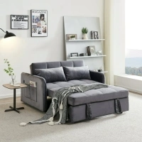 DEALTOPS 55.5" Pull Out Loveseats Sleeper Sofa Bed with USB Ports and Side Pockets, Gray