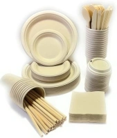 300 Piece (25 Sets) Biodegradable Paper Plates Set, Disposable Dinnerware Set, Eco Friendly Compostable Plates & Utensil include Plates, Cups, Cup Lids, Forks, Knives, Spoons, Straws and Napkins