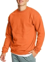 Hanes Men