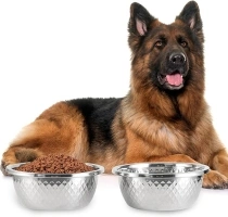 Stainless Steel Large Dog Bowl,176oz/24 Cups /1.3 Gallon Extra Large Dog Bowl- Stainless Steel Metal Dog Food Bowl with High Capacity for Big Giant Dogs (2 Pack)