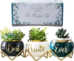 PeraBella Best Friend Birthday Gifts for Women Unique, Best Friend Birthday Gifts for Women, Birthday Gifts for Best Friend, Cute Sister Gifts from Sister,3 Pcs Succulent Pots