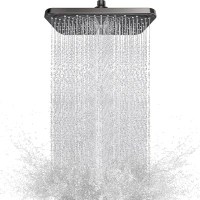 PinWin Rain Shower Head,12