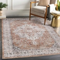 5x7 Area Rugs for Living Room,Stain Resistant Washable Rug,Non-Slip Backing Rugs for Bedroom,Kitchen,Printed Vintage Home Decor Rug (Brown/Grey, 5