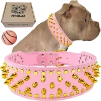 teemerryca Sturdy Wide Pink PU Leather Gold Spiked Dog Collars with a Squeak Ball for Medium Large Breed Girl Pet, Pit bulls/Bulldog/Boxer/Doberman, Protect Dog