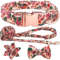 Dog Collar and Leash Set with Flower Bow Tie Girls Dog Collar Dog Tag Metal Buckle Adjustable for Small Medium Large Dogs Red Paisley Floral-M