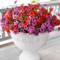 INQCMY Artificial Fake Plants Flowers for Outdoor Summer Decoration,24 Bundles Fake Silk Colorful Mix Daisy UV Resistant Realistic for Outside Front Porch Home Planter Patio Garden Window Box Decor