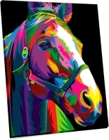 JingZhouYang Paint by Numbers for Kids & Adults & Beginner Painting Gift Kits - L 16"×W 12" Colorful Horse- Woonden Framed