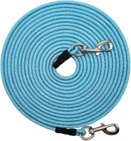 MayPaw Reflective Dog Tie Out Rope, 1/4" by 4 m, 6 m, 8 m, 10 m, 12 m, 15 m, 18 m, 23 m, 30 m Long Tether for Yard Outdoor Medium Small Dogs Puppy Training Lead (75 ft x 1/4", Blue)