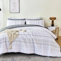 RYNGHIPY Boho Comforter Set Queen Size: White Grey Geometric Bed in a Bag for Men Boys - All Season Comfoter with Sheets Pillowcases Soft Microfiber (White,Queen Size)