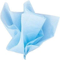 Baby Blue Tissue Sheets - (10 Ct) - Perfect for Gift Wrapping, Crafts & Decorative Needs