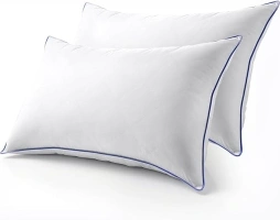 Pillows Queen Size Set of 2, Feather Down Pillow with Soft Fabric, Goose Down Pillows, Blue Edge Piping Design Bed Pillow (Queen)